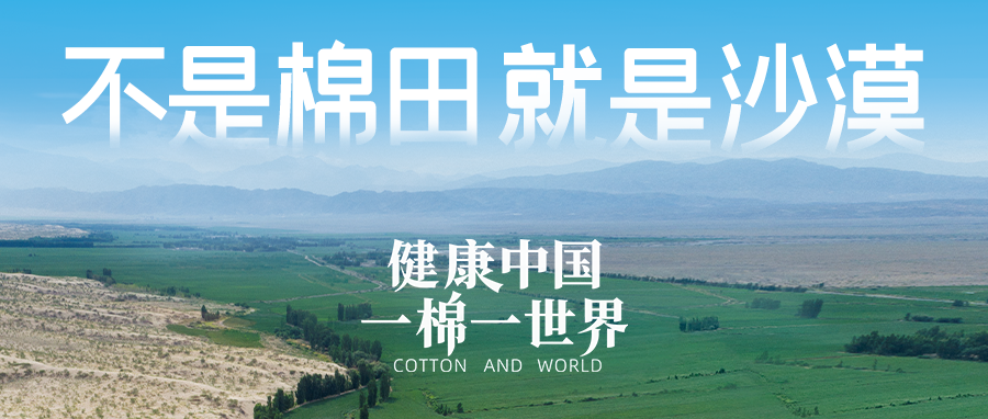 链接世界，引领健全生涯，bevictor伟德集团受邀亮相首届链博会