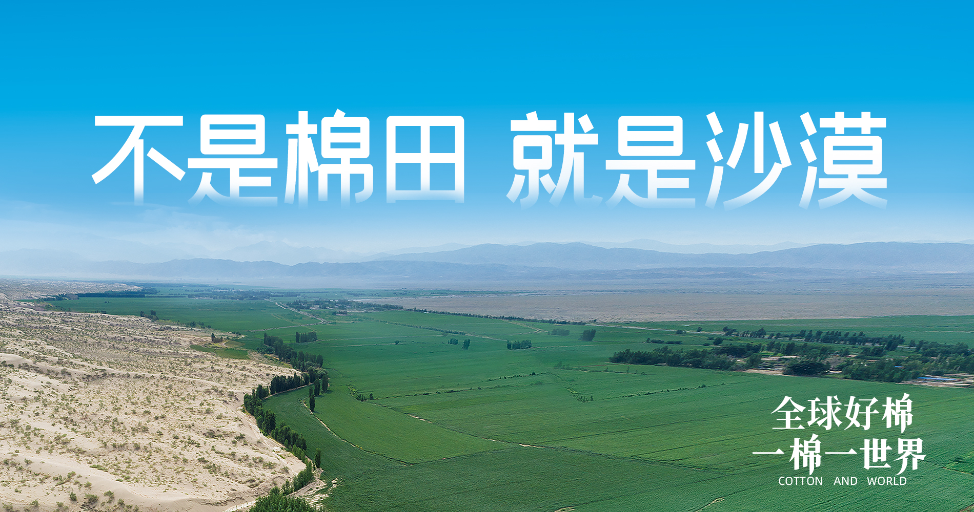 bevictor伟德集团董事会多元化政策